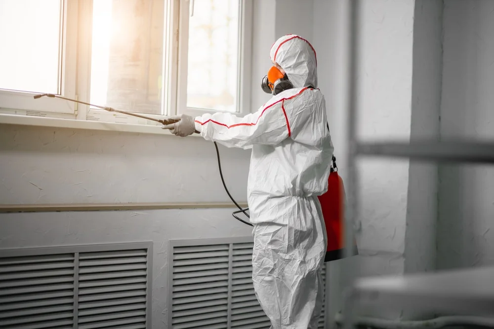 Professional mold remediation services in Notrees, TX